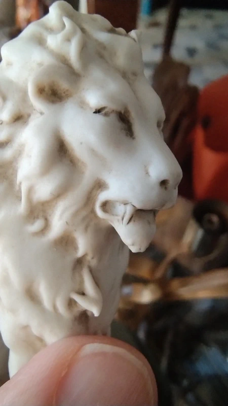 leone lion in porcellana biscuit leone lion in porcellana biscuit