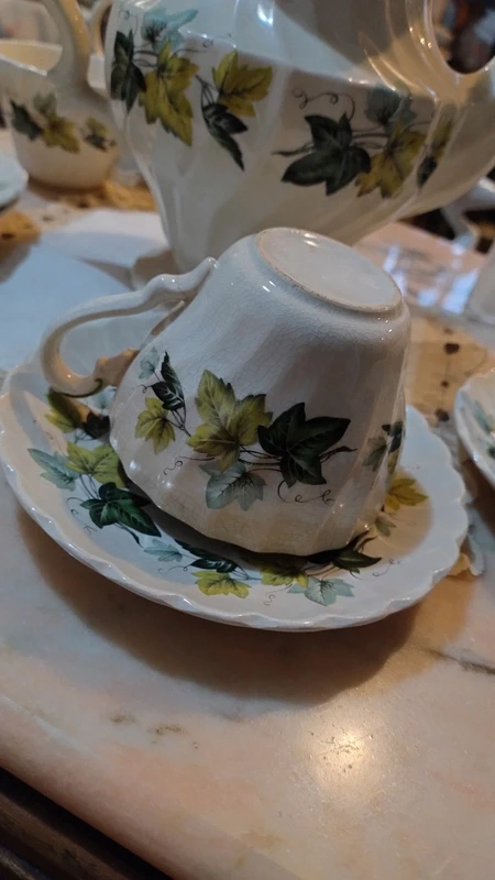 servizio thè myott england decoro verde foglie vite per 5 persone servizio thè myott england decoro verde foglie vite per 5 persone