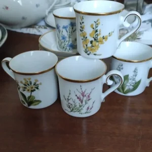lotto 5 tazze caffè porcellana botanica eschenbach bavaria
