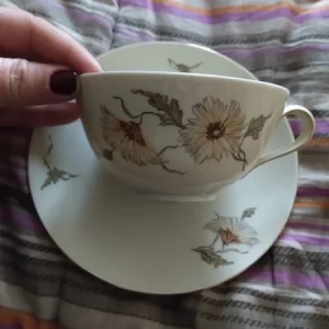 coppia tazza da thè tè vintage seltmann weiden bavaria