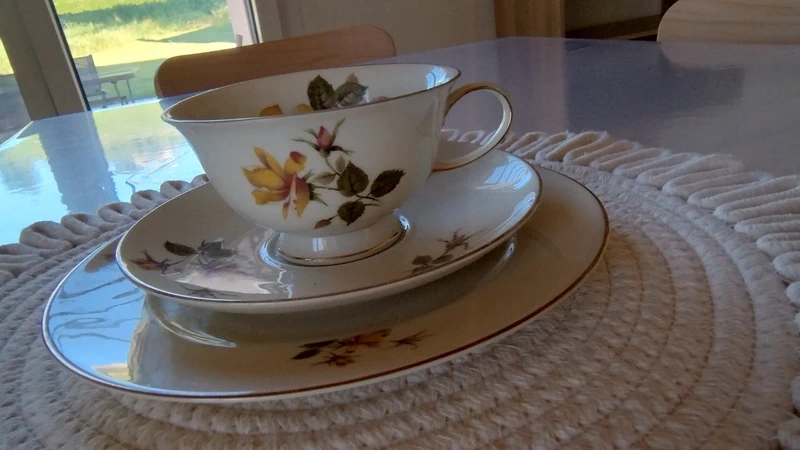 tazza tè thè doppio piattino rosa gialla rosenthal germany tazza tè thè doppio piattino rosa gialla rosenthal germany