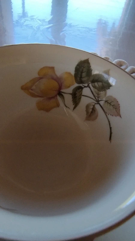 tazza tè thè doppio piattino rosa gialla rosenthal germany tazza tè thè doppio piattino rosa gialla rosenthal germany