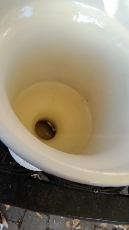 albarello o vaso con coperchio pagani vecchia lodi italy albarello o vaso con coperchio pagani vecchia lodi italy