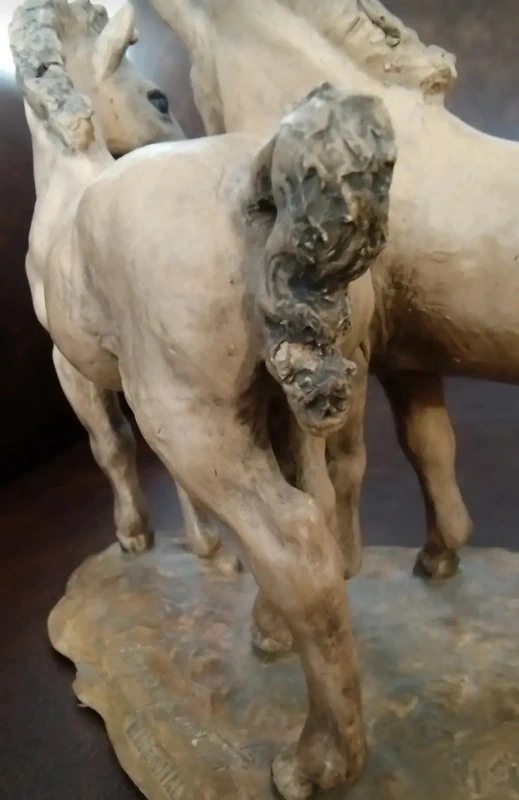 cavallo cavalli puledro firma cacciapuoti made in italy cavallo cavalli puledro firma cacciapuoti made in italy