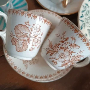 coppia tazza thè maestricht dahlia holland