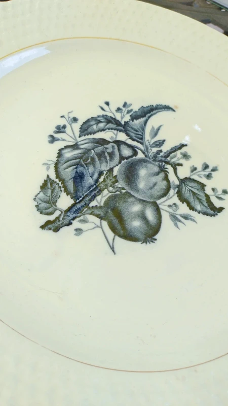 servizio piatti dolce frutta dessert laveno servizio piatti dolce frutta dessert laveno