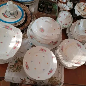 servizio completo piatti da 12 rosenthal sanssouci