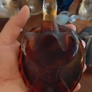tartaruga ambrata caroline vetro lalique antica