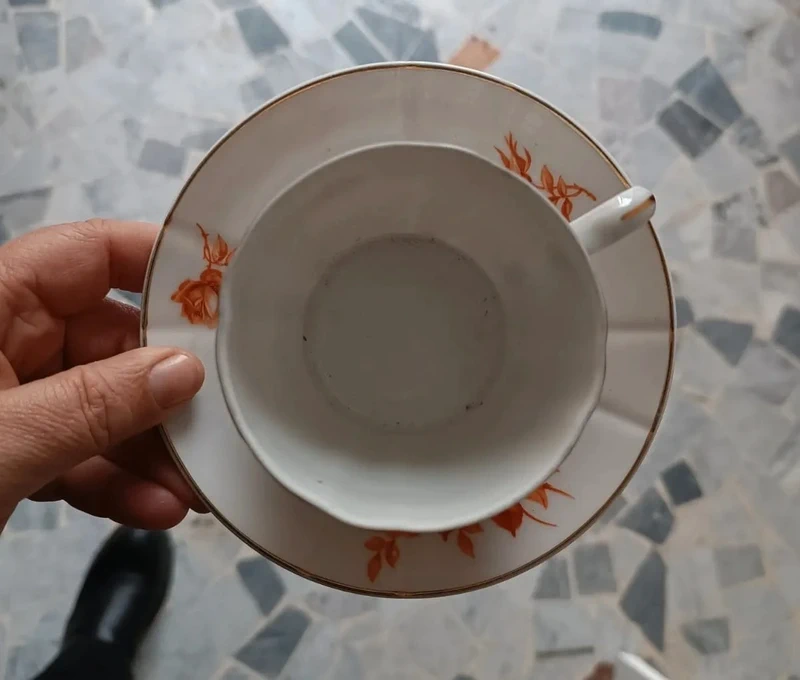 tazza thè tè fiori arancioni h&c chodau czechoslovakia tazza thè tè fiori arancioni h&c chodau czechoslovakia