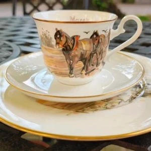 tazza da thè tè con doppio piattino villeroy&boch 1976 mese di marzo