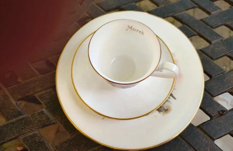 tazza da thè tè con doppio piattino villeroy&boch 1976 mese di marzo tazza da thè tè con doppio piattino villeroy&boch 1976 mese di marzo