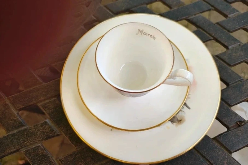 tazza da thè tè con doppio piattino villeroy&boch 1976 mese di marzo tazza da thè tè con doppio piattino villeroy&boch 1976 mese di marzo