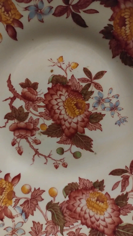 piatto aster spode copeland england piatto aster spode copeland england