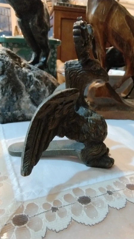 aquila reale in bro aquila reale in bro