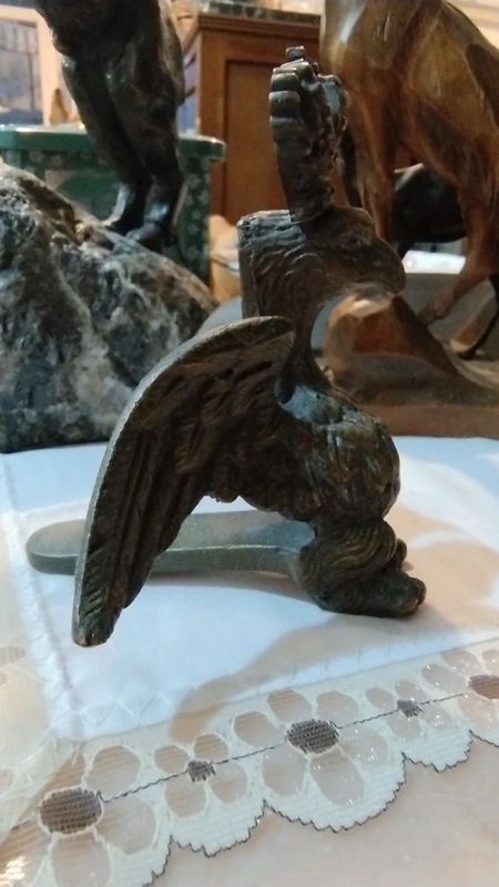 aquila reale in bro aquila reale in bro