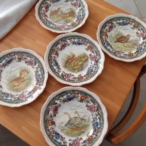 set piatti copeland spode england uccelli selvatici