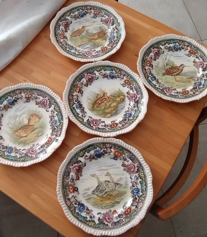 set piatti copeland spode england uccelli selvatici set piatti copeland spode england uccelli selvatici