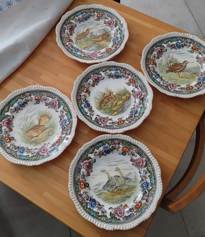 set piatti copeland spode england uccelli selvatici set piatti copeland spode england uccelli selvatici