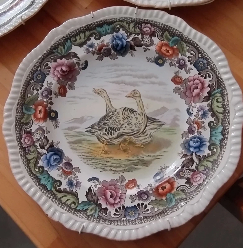 set piatti copeland spode england uccelli selvatici set piatti copeland spode england uccelli selvatici