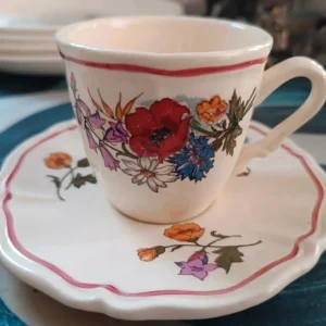 coppia tazze caffè doppio piattino agreste sarreguemines france