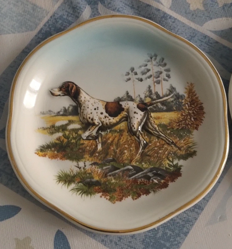 piattino cane da caccia decoro in rilievo royal worcester palissy piattino cane da caccia decoro in rilievo royal worcester palissy