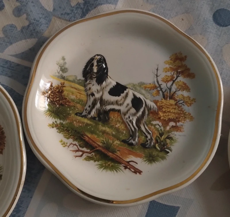 piattino cane da caccia decoro in rilievo royal worcester palissy piattino cane da caccia decoro in rilievo royal worcester palissy