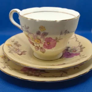 tazza da thè tè e doppio piattino vintage aynsley giallo pallido e floreale