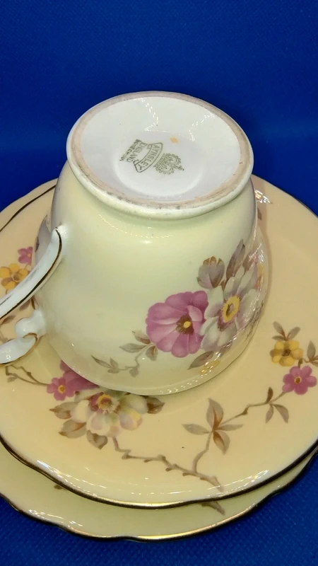 tazza da thè tè e doppio piattino vintage aynsley giallo pallido e floreale tazza da thè tè e doppio piattino vintage aynsley giallo pallido e floreale