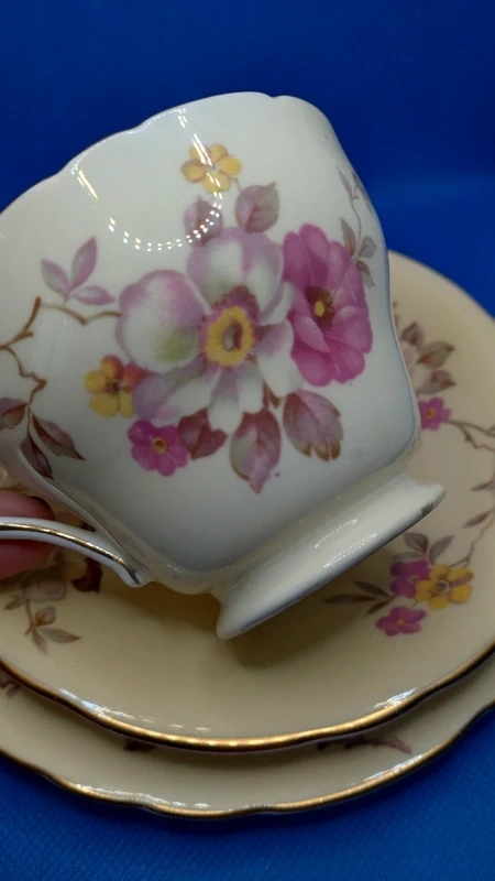 tazza da thè tè e doppio piattino vintage aynsley giallo pallido e floreale tazza da thè tè e doppio piattino vintage aynsley giallo pallido e floreale