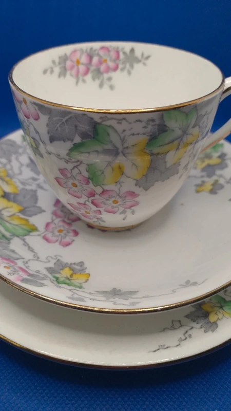 tazza thè doppio piattino windsor england bone china tazza thè doppio piattino windsor england bone china