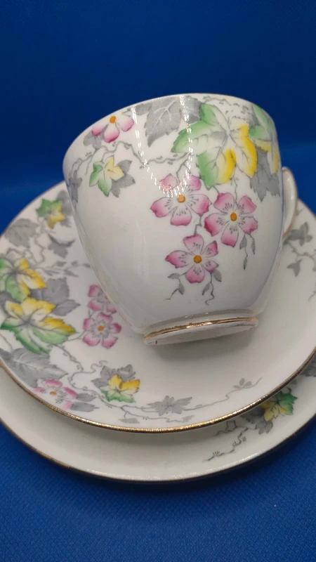tazza thè doppio piattino windsor england bone china tazza thè doppio piattino windsor england bone china