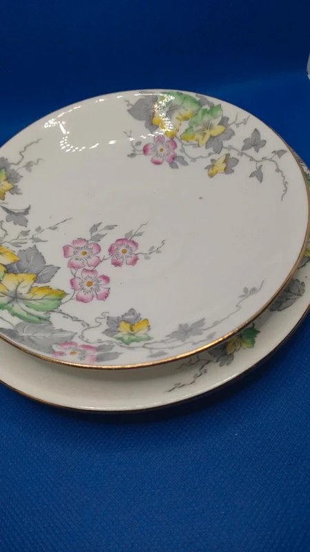 tazza thè doppio piattino windsor england bone china tazza thè doppio piattino windsor england bone china