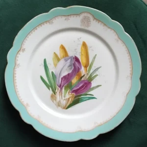 piatto decorativo porcellana charles pillivuyt paris francia (copia)
