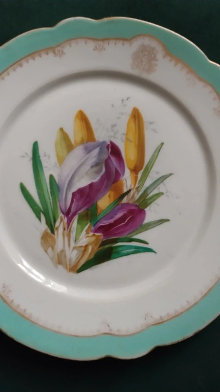 piatto porcellana floreale charles pillivuyt paris francia piatto porcellana floreale charles pillivuyt paris francia