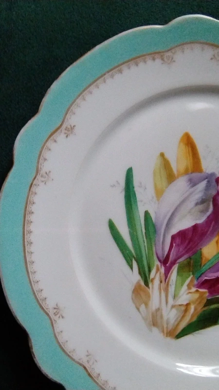 piatto porcellana floreale charles pillivuyt paris francia piatto porcellana floreale charles pillivuyt paris francia