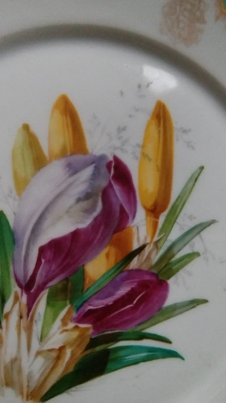 piatto porcellana floreale charles pillivuyt paris francia piatto porcellana floreale charles pillivuyt paris francia