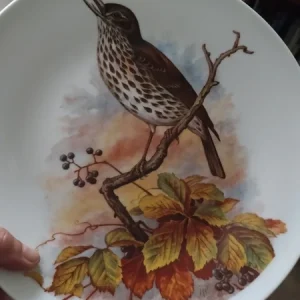 piatto decoro uccelli marchio richard ginori italy