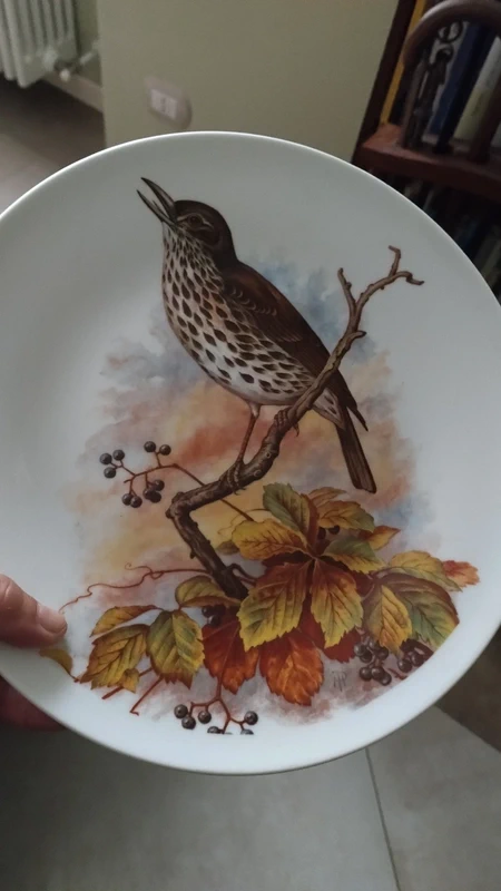piatto decoro uccelli marchio richard ginori italy piatto decoro uccelli marchio richard ginori italy