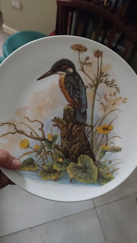 piatto decoro uccelli marchio richard ginori italy piatto decoro uccelli marchio richard ginori italy
