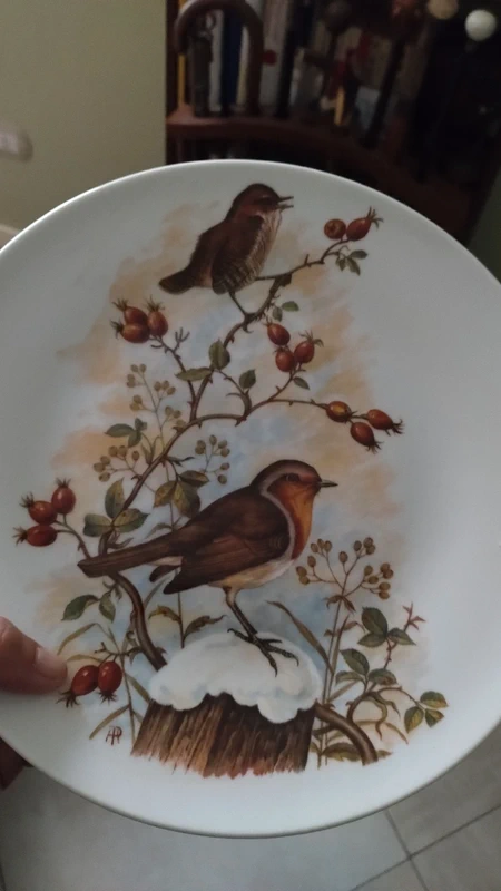 piatto decoro uccelli marchio richard ginori italy piatto decoro uccelli marchio richard ginori italy