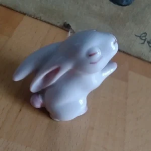 piccolo e delizioso coniglio ancien lapin rosa germany